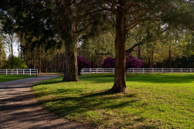 NORTH SUPERGROUP - Farm