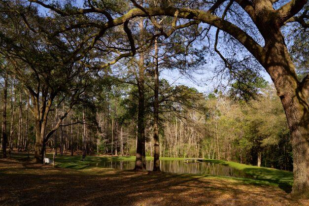 NORTH SUPERGROUP - Farm