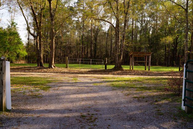 NORTH SUPERGROUP - Farm