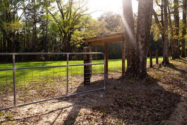 NORTH SUPERGROUP - Farm