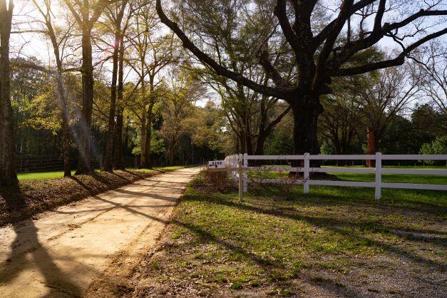 NORTH SUPERGROUP - Farm