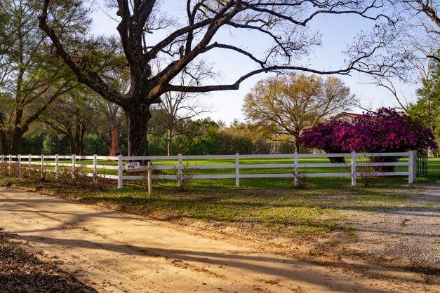 NORTH SUPERGROUP - Farm