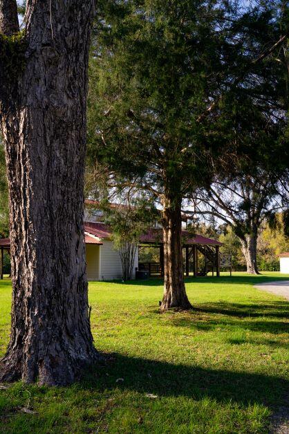 NORTH SUPERGROUP - Farm