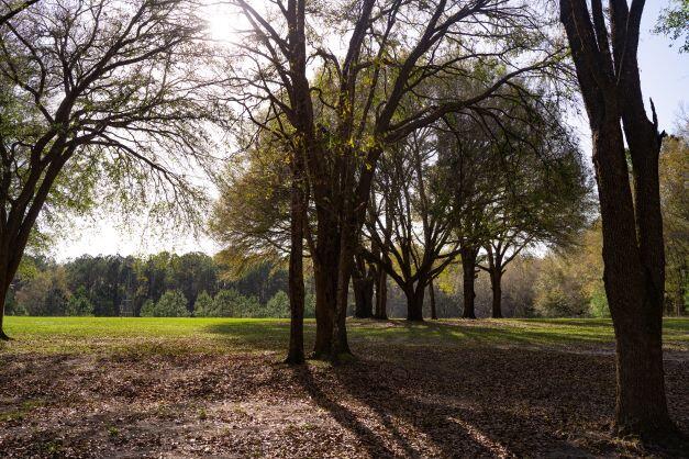 NORTH SUPERGROUP - Farm