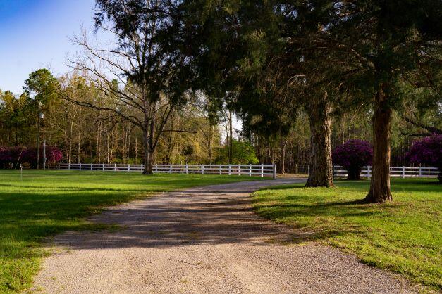 NORTH SUPERGROUP - Farm