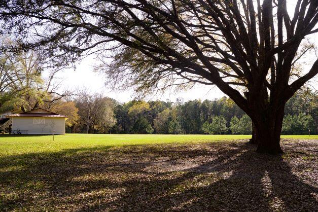 NORTH SUPERGROUP - Farm