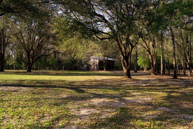 NORTH SUPERGROUP - Farm