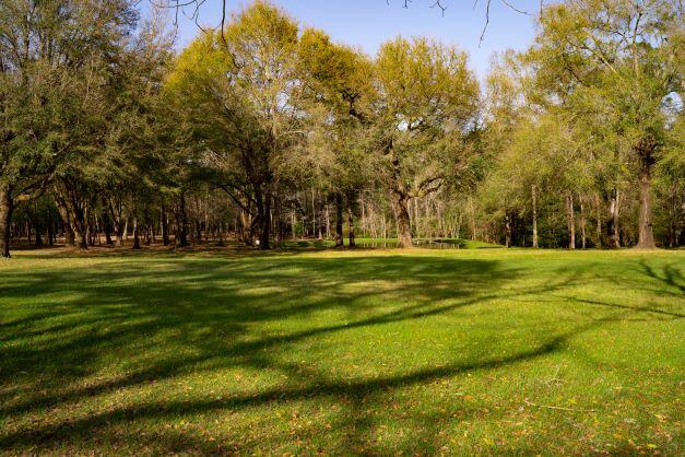 NORTH SUPERGROUP - Farm