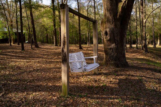 NORTH SUPERGROUP - Farm