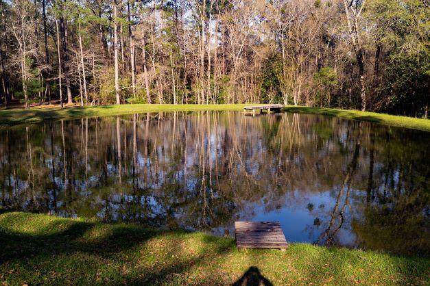 NORTH SUPERGROUP - Farm
