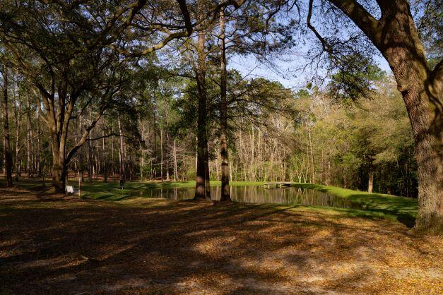 NORTH SUPERGROUP - Farm