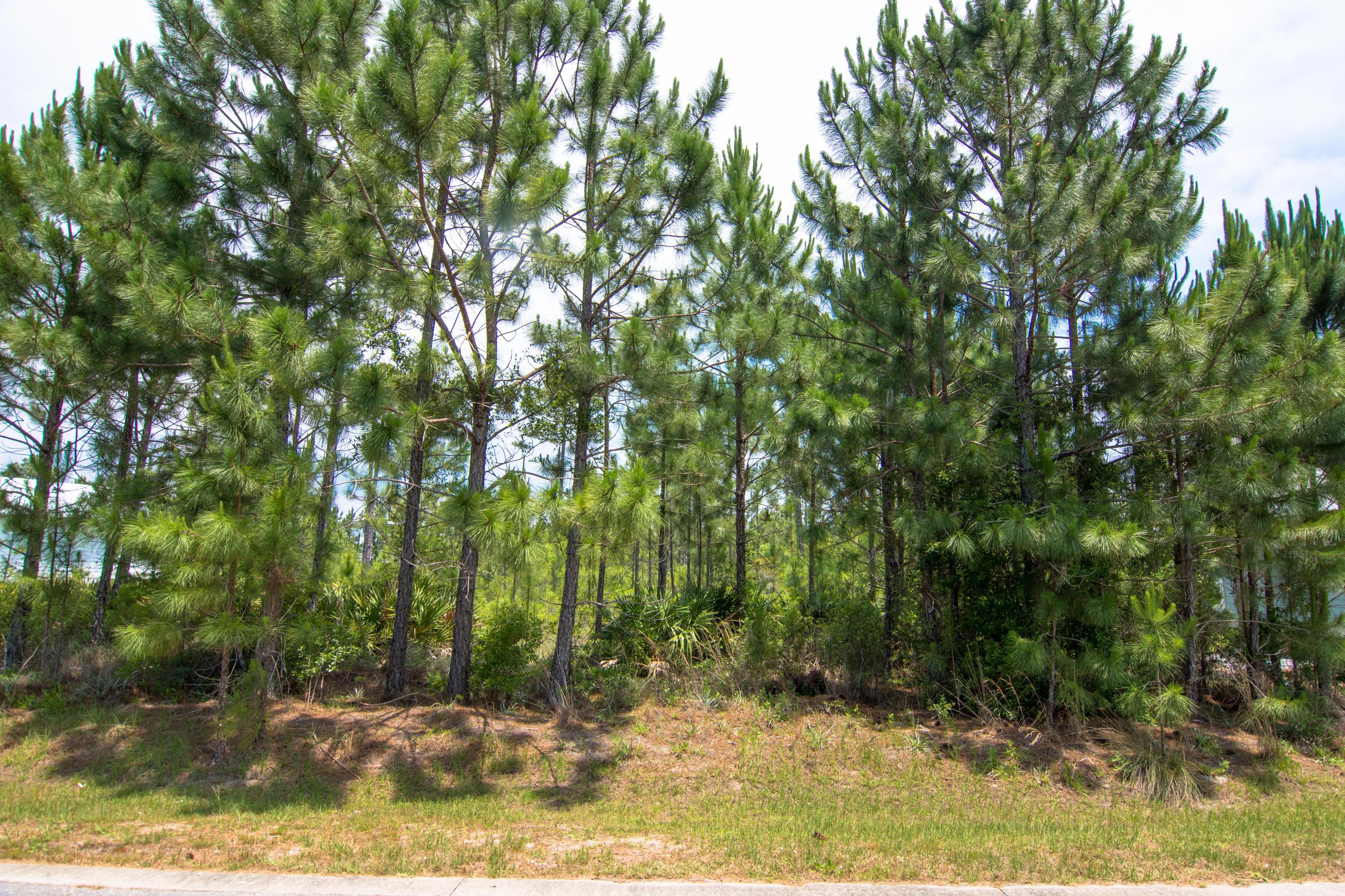 CYPRESS BREEZE PLANTATION - Land