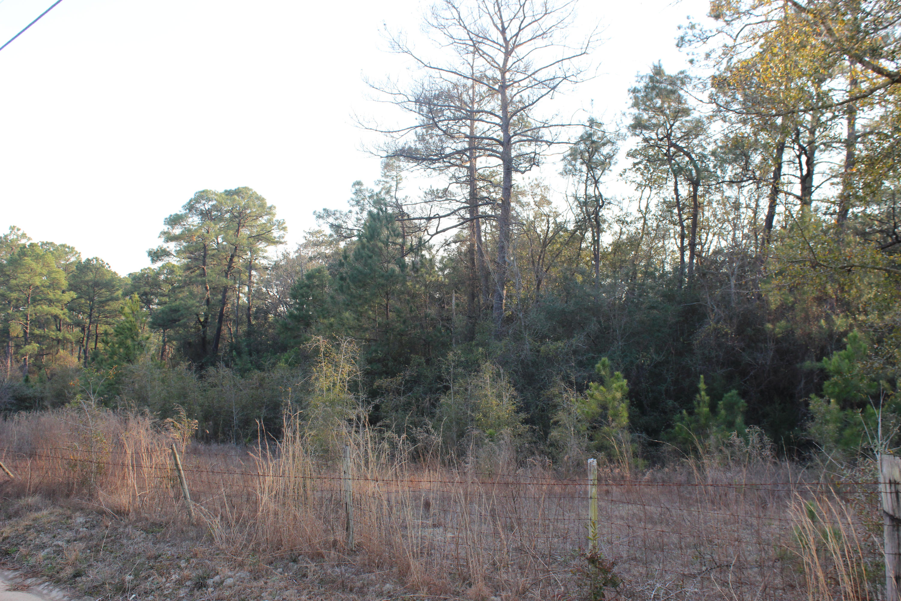 METES & BOUNDS - Land