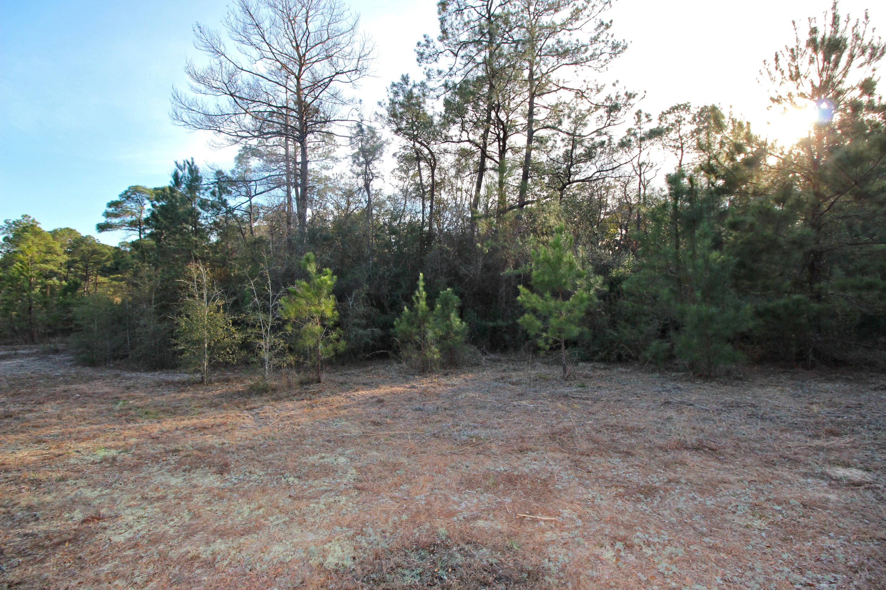 METES & BOUNDS - Land