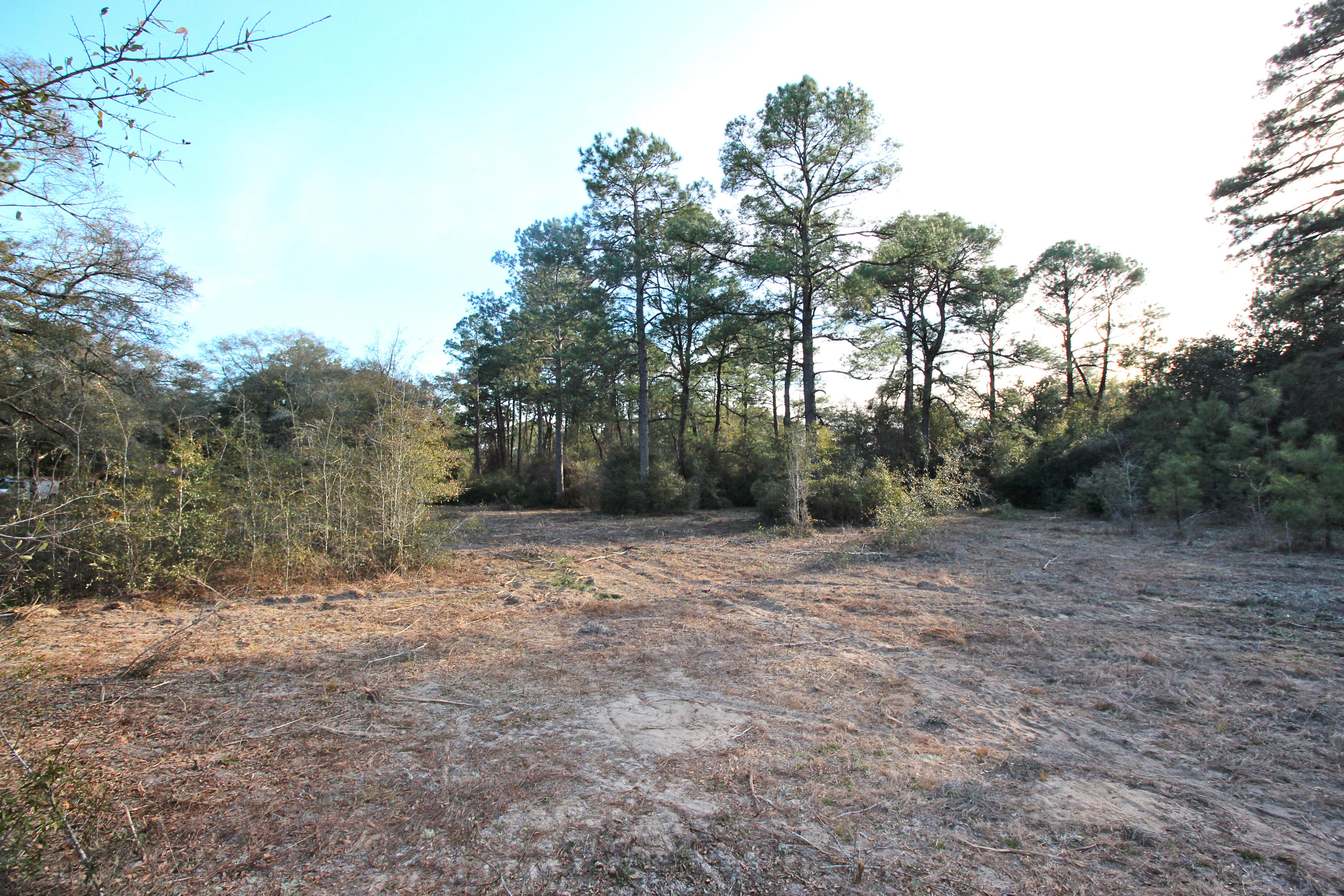 METES & BOUNDS - Land