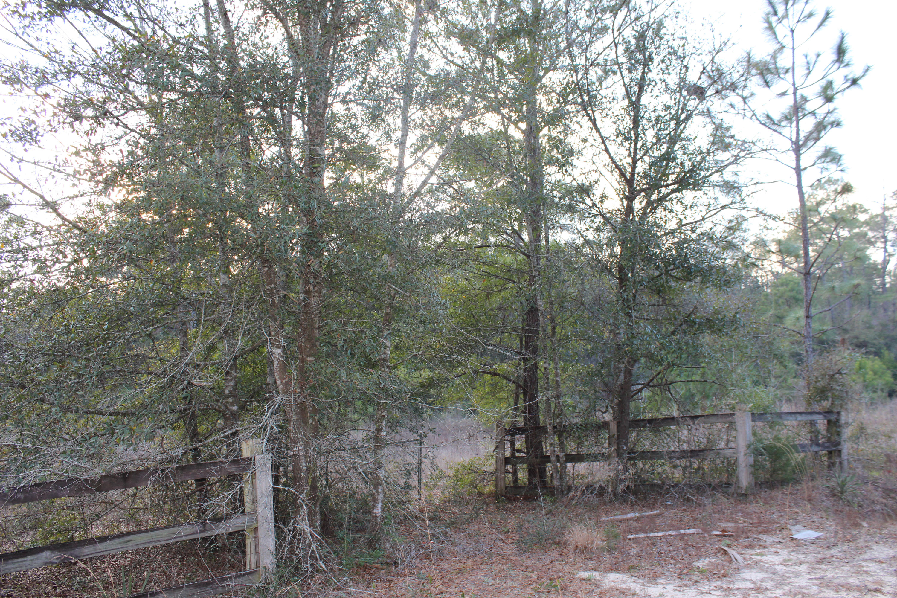 METES & BOUNDS - Land