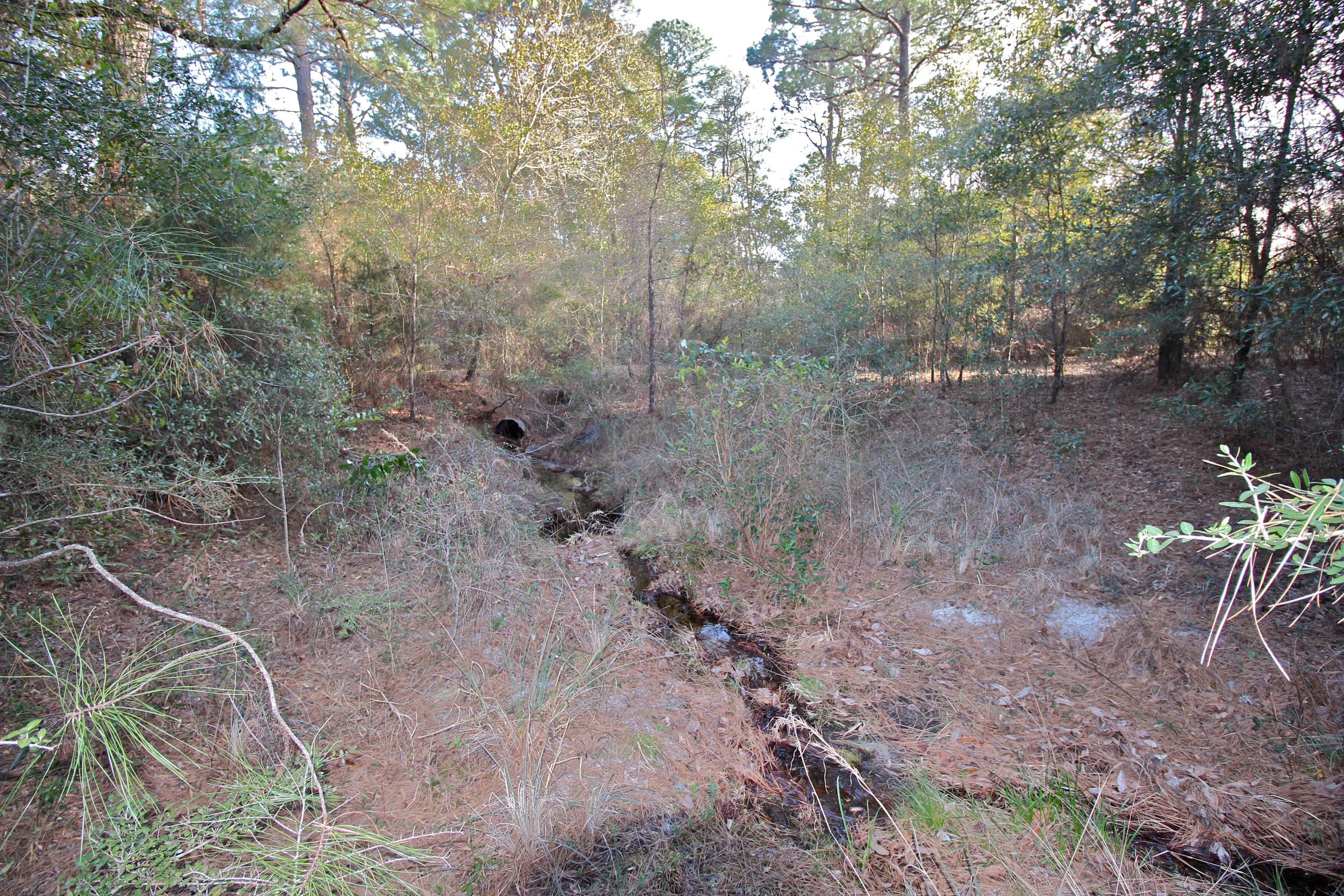 METES & BOUNDS - Land