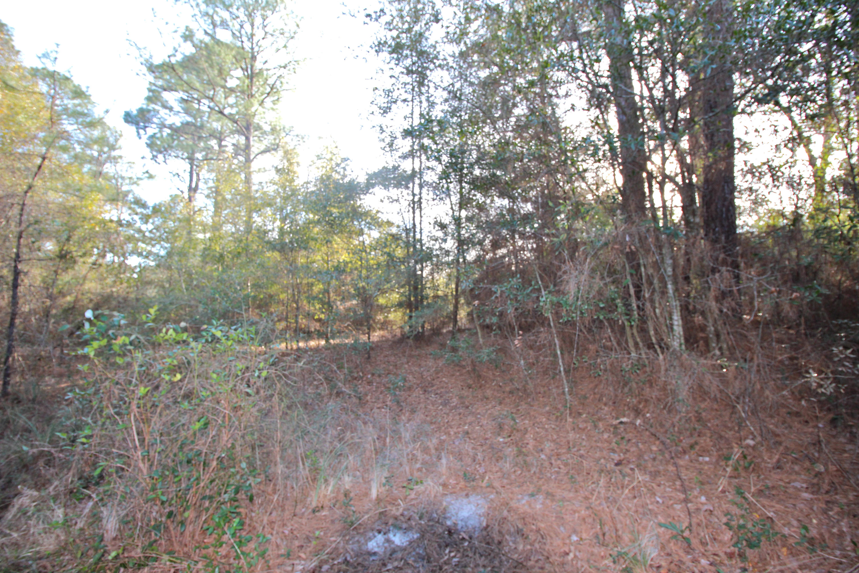 METES & BOUNDS - Land