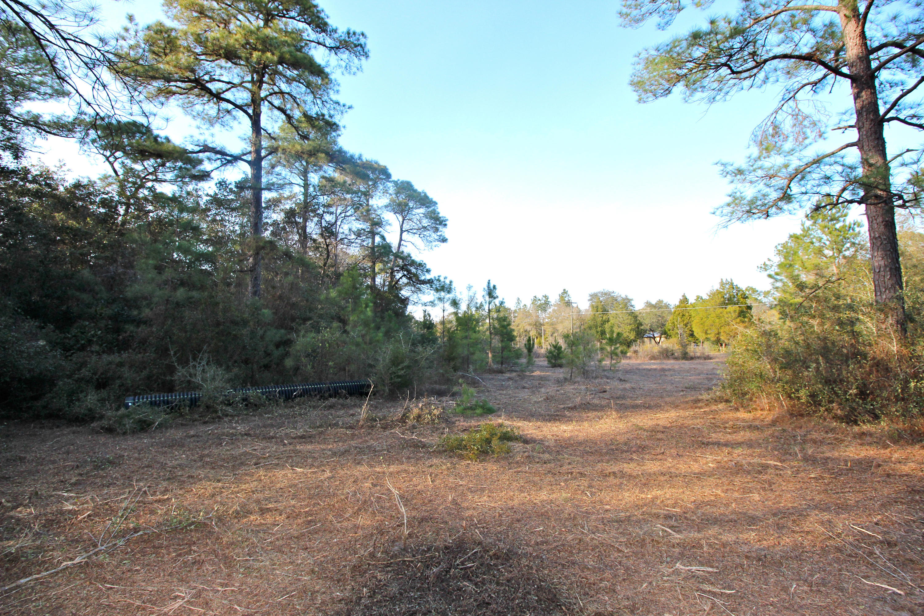 METES & BOUNDS - Land