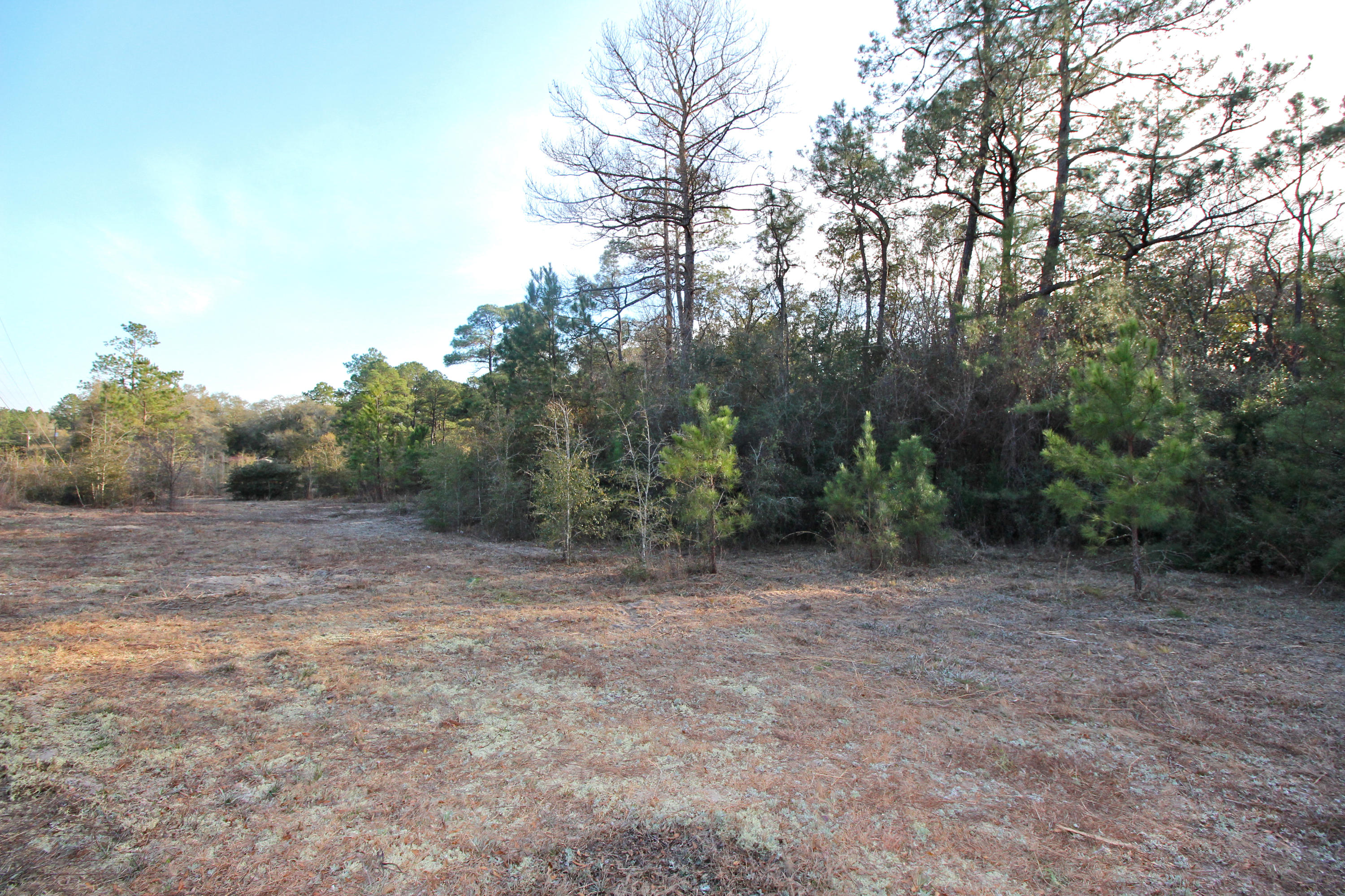 METES & BOUNDS - Land