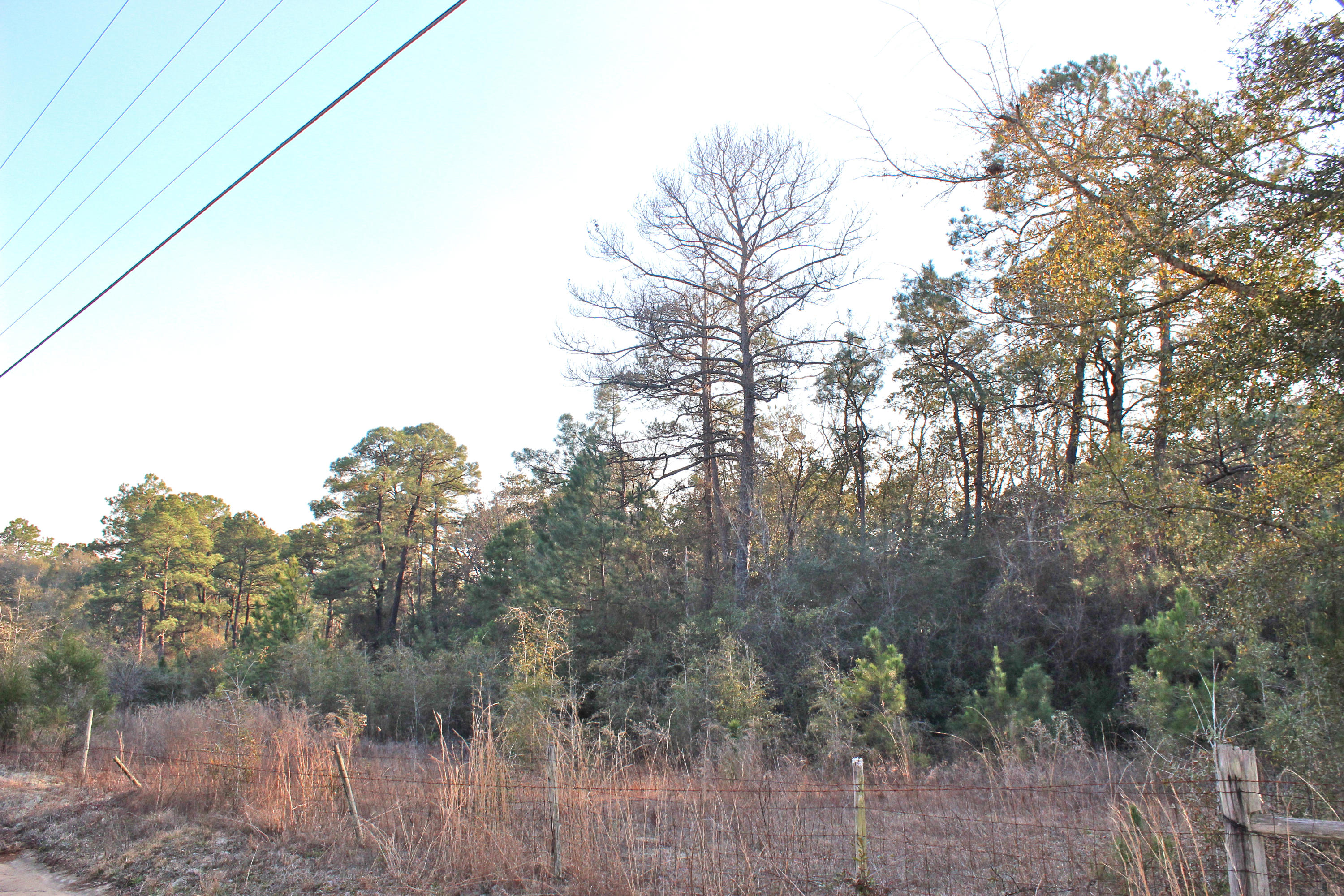 METES & BOUNDS - Land