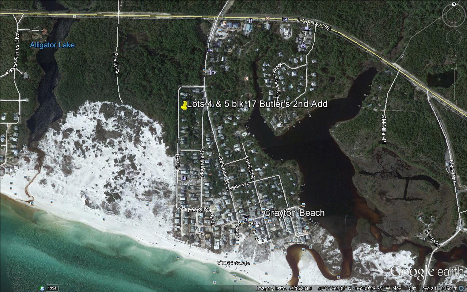 PRICE REDUCED! The protected Grayton State Dunes and Forest run the length of the W side of low traffic Pine Street directly acroos from this home site in Grayton Beach. This 'sleeper' heavily wooded lot appears high and dry and is less than 2 blocks to Beach/access located at the S end of Pine St. Minimal covenants, no build-out time, voluntary HOA. Adjacent lot to the S is also for sale, same price. Wonderful opportunity to own a piece of historic and eclectic Grayton Beach.