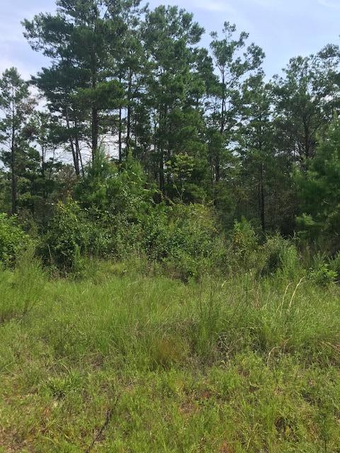 This lot is 175' x 200' and has 14 (25') lots. Well and septic required.  Planning and Developing said the roads do not have to be paved or improved more, as long as there is access. This is one of the oldest recorded platted subdivisions in Walton County.  Seriously, this lot is gorgeous. The Mossy Head area is really taking off now. They have a wonderful golf course, local park, and a great location near I10!Invest in your future.  Broker, Cerenna Solecki, is one of the Sellers.