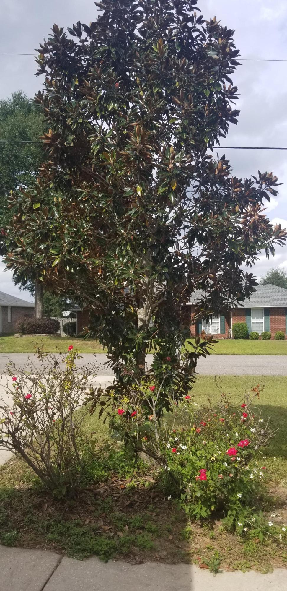 ANTIOCH ESTATES S/D 2 - Residential