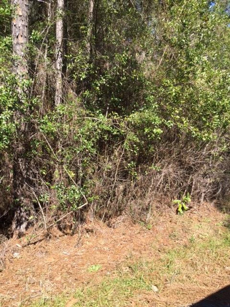 Great home site close to the beaches of South Walton and the 30A area. Lot 26 is approximately 50x150 ft and is located on a paved road a short distance from Choctawhatchee Bay.