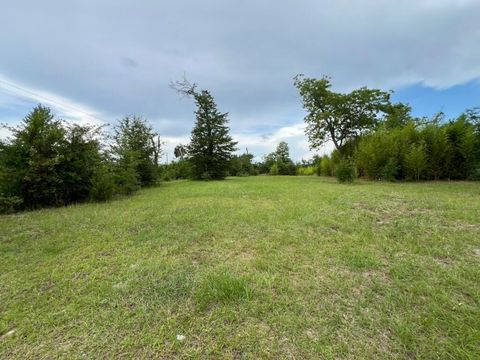 Photo of 6807 John Pitts Road, Panama City, FL 32404 (MLS # 987791)