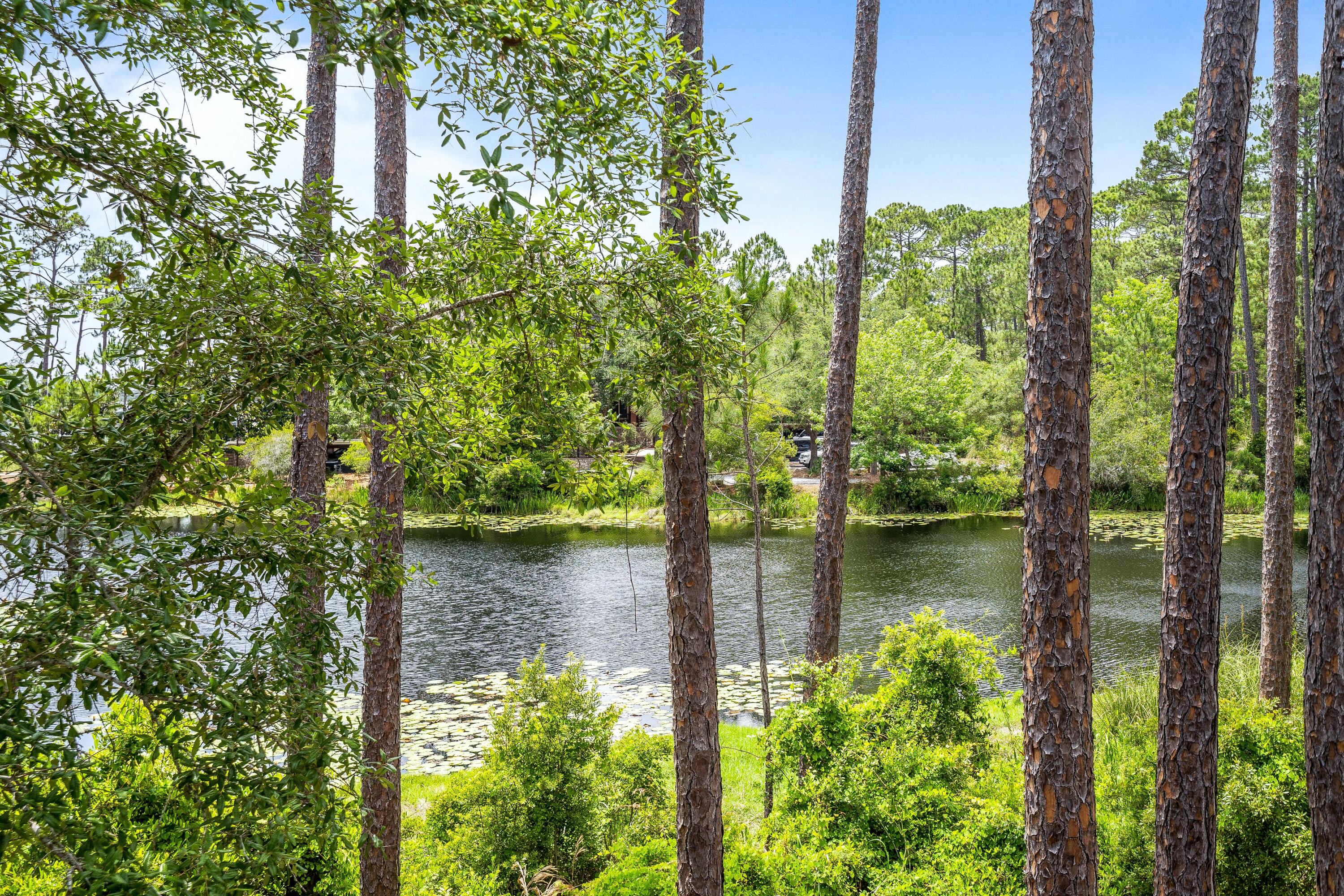 WILD HERON PHASE II - Residential