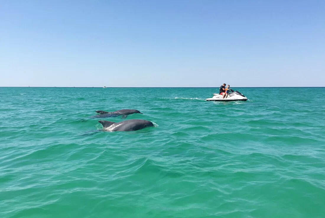 Ridgewalk - Residential