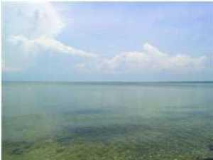 This lot has great possibilities for a home on pilings with views of Hog Town Bayou. The current owners have installed water, sewer and grinder pump with electricity. They put in a culvert and gravel driveway. They used it to pull their camper in and enjoy the privacy and wild life in the area. There are quite a few new homes in that area and if you like your privacy it is perfect. There is also a channel out into the bayou that you can pull your boat into the lot. Cessna Landing is a park just around the corner from the lot. It features two boat launches, picnic benches, bathrooms, basketball court and children's play area. Great place to launch your boat and enjoy the water.