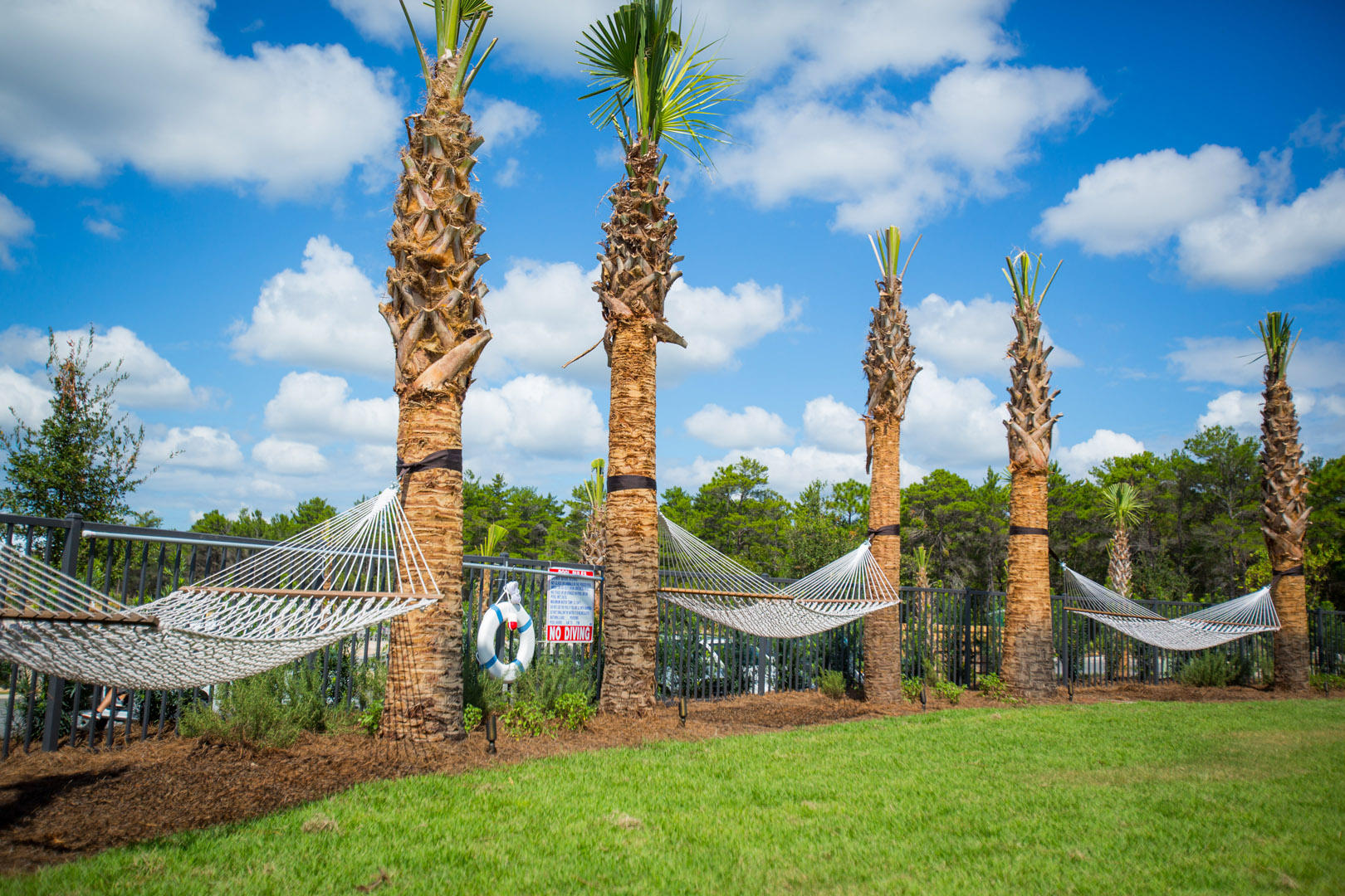 PROMINENCE/TRIPLEX TOWNHOMES - Residential