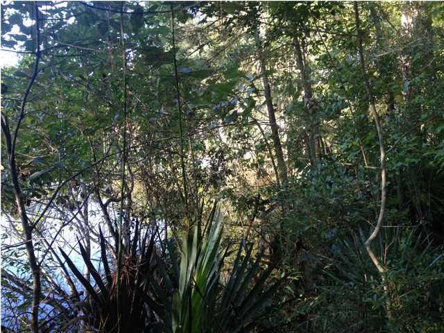 ALAQUA CREEK S/D - Land