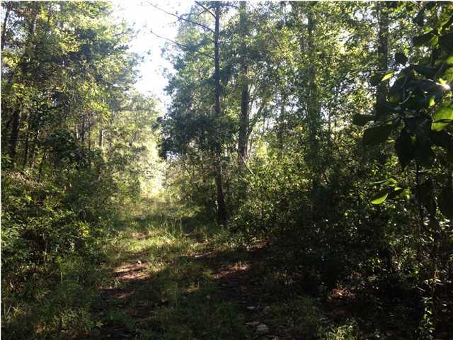 ALAQUA CREEK S/D - Land