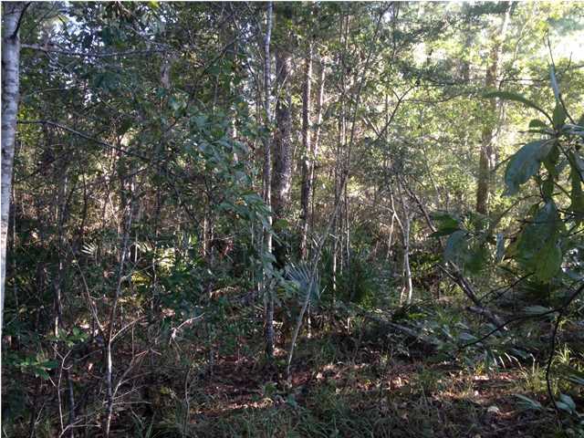 ALAQUA CREEK S/D - Land