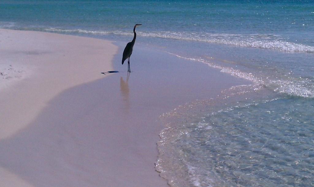 PRESERVE PLACE - Residential