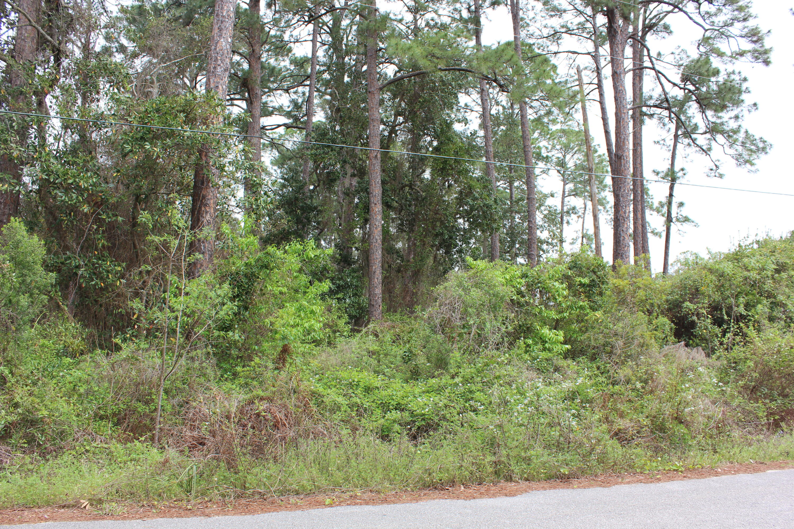 Just 5 minutes from Grayton Beach, 30A Beaches and Shuttle park to the beaches. Subdivision with NO HOA fees and no build-out deadlines. Boat launch is right around the corner with easy access to the Bay and Bay Front Park featuring a kayak launch. Seller will entertain Offers.
