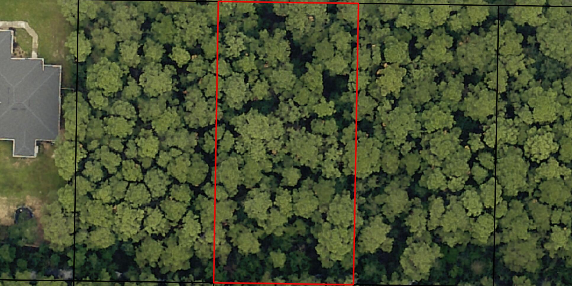 NONESUCH WAY - Land