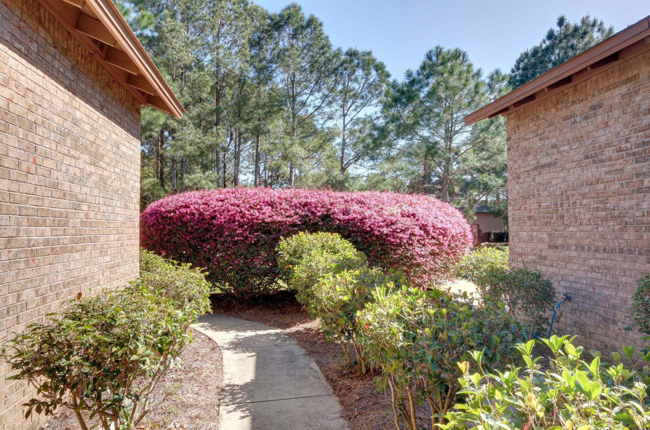 ESCADA - Residential