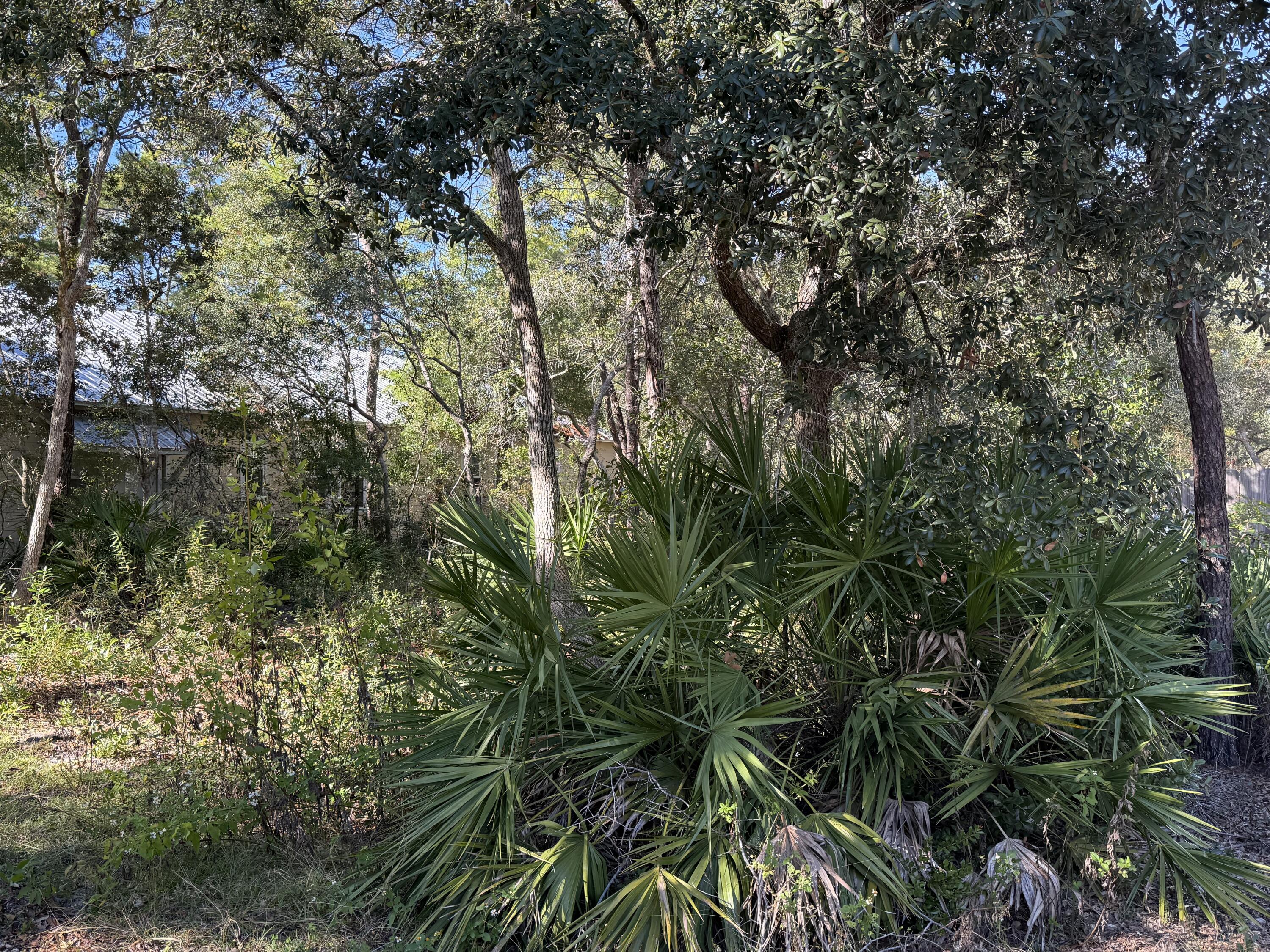 GRAYTON BAYOU - Land