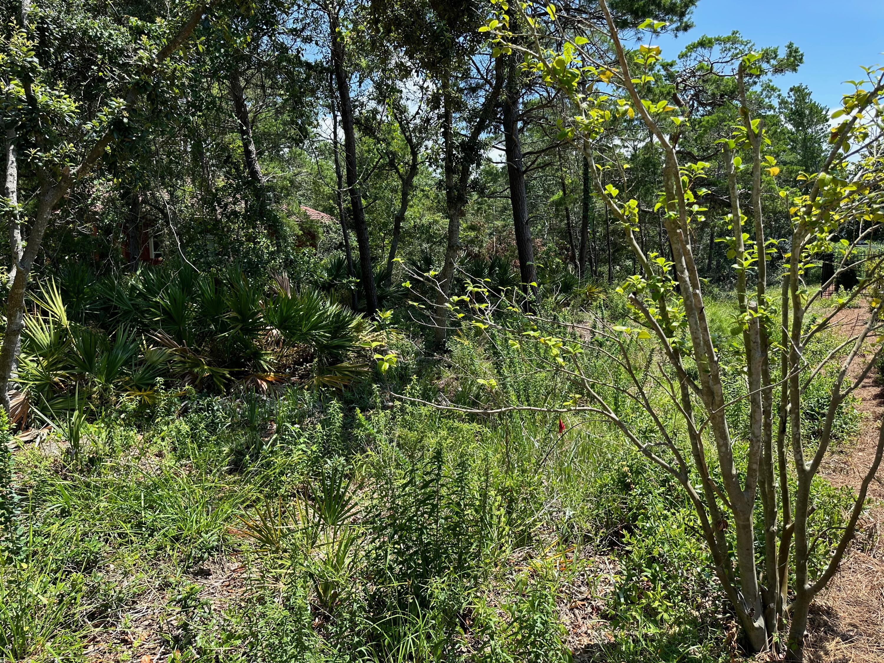 BellaMar at Gulfplace - Land