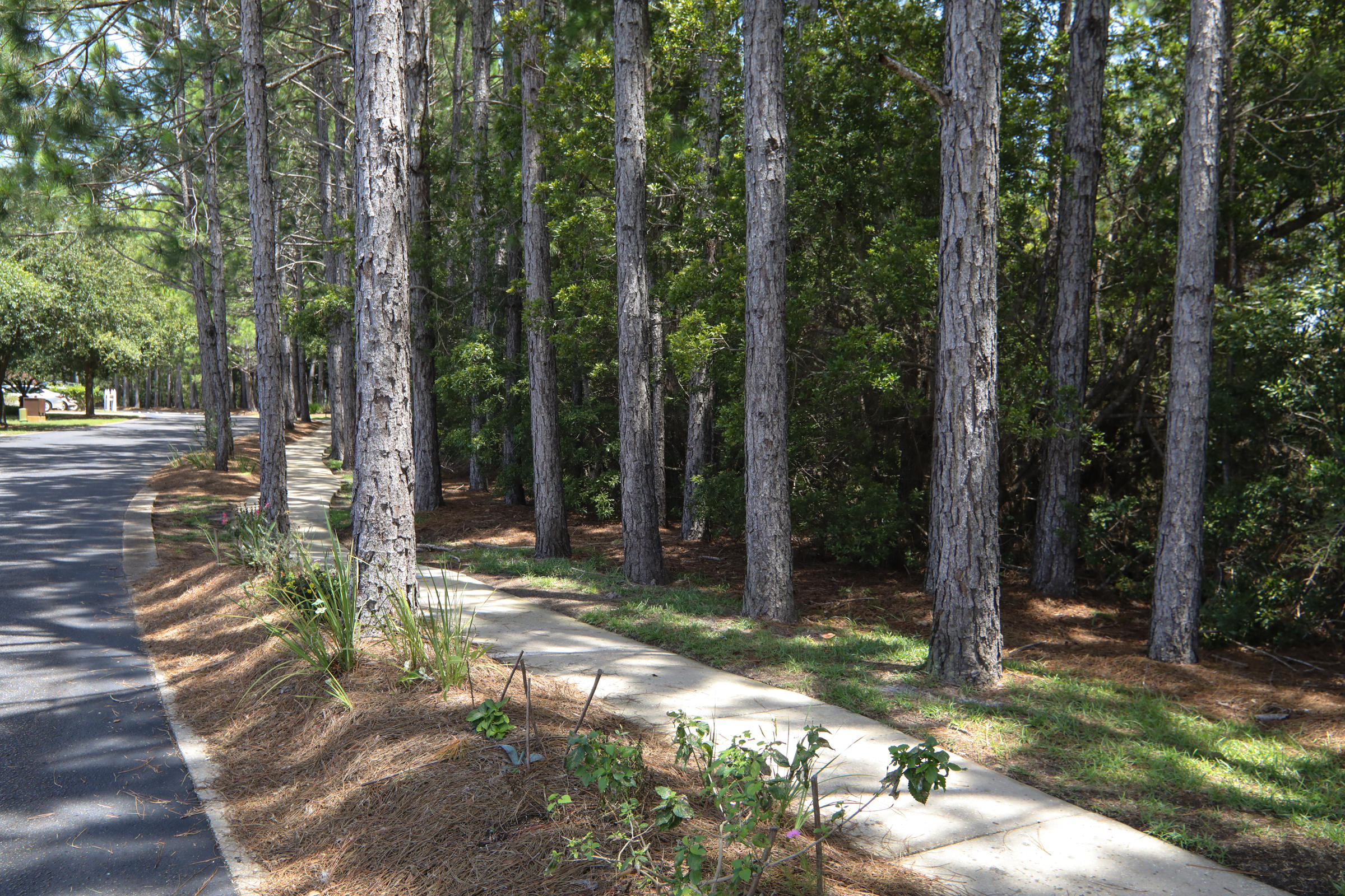 ESCADA - Residential