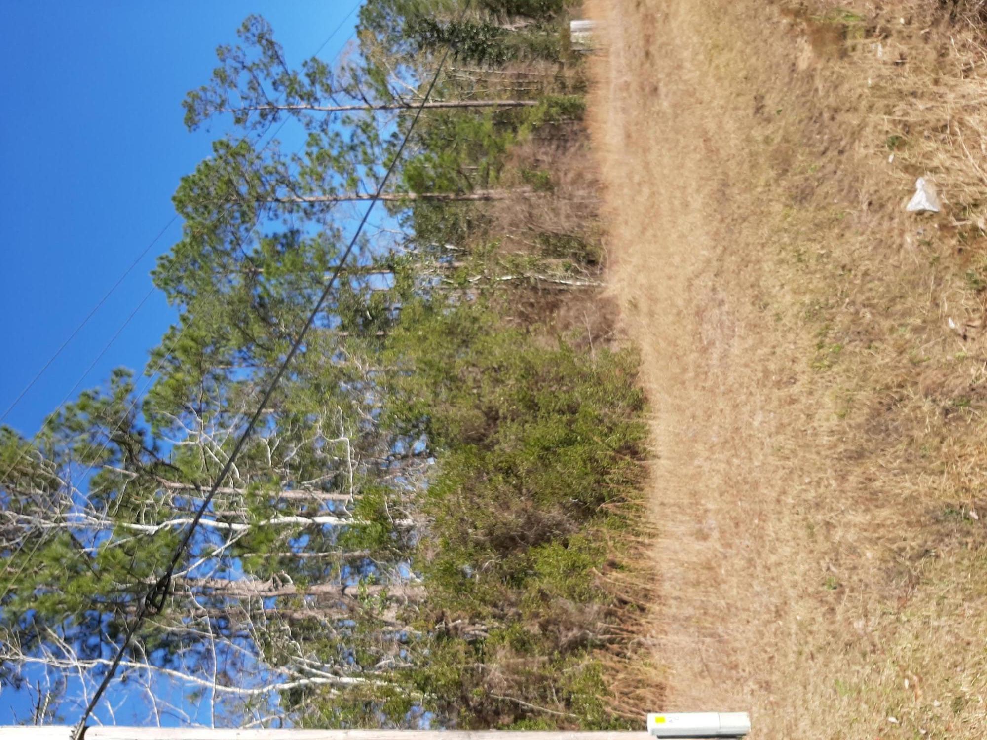 .92 of an acre zoned Residential/ Commercial, centrally located between ''Downtown'' Freeport and Hammock Bay on Hwy 20. Hwy 20 is a busy East/West corridor servicing Freeport, Niceville, Ebro and Panama City. There are many possibilities with this parcel!!!! City of Freeport Land Development Code pertaining to R/C Zoning attached to this listing under ''Documents''. Purchaser to verify the accuracy of all details contained in this listing.
