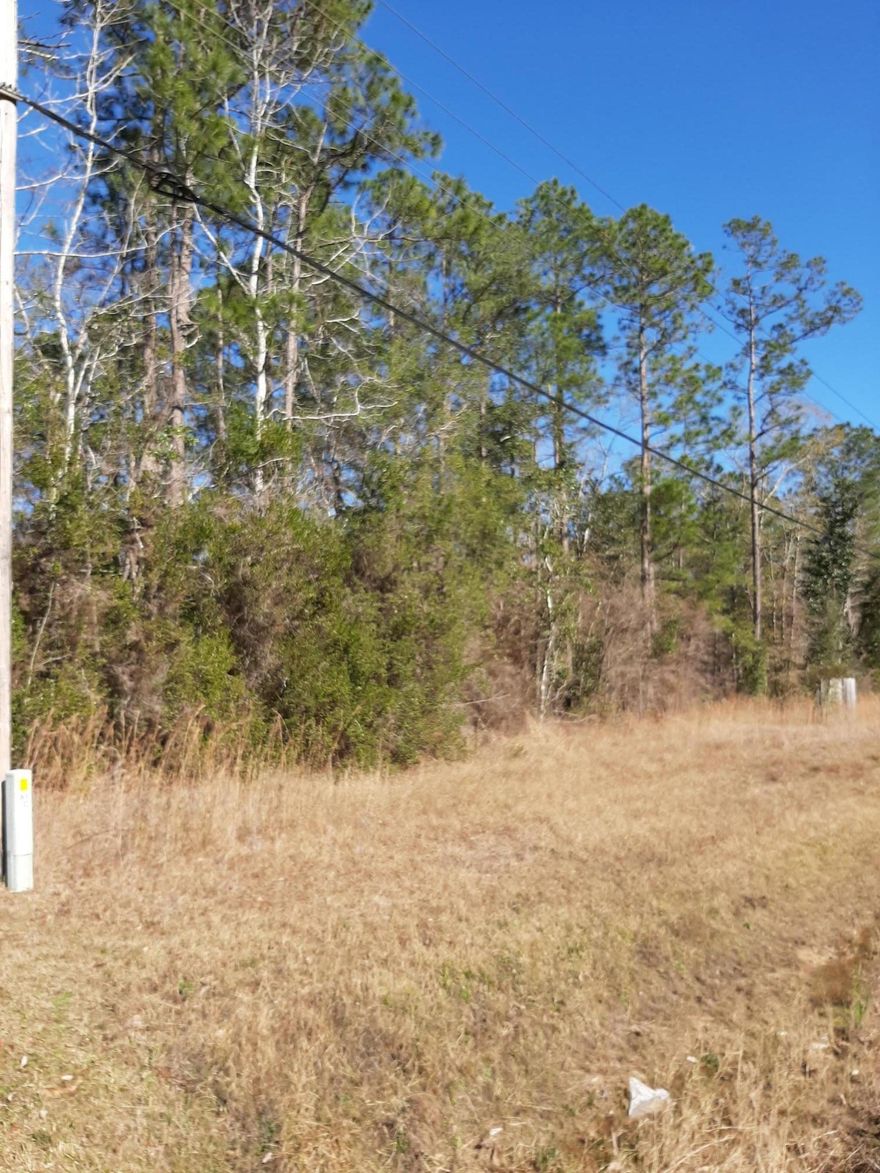 .92 of an acre zoned Residential/ Commercial, centrally located between ''Downtown'' Freeport and Hammock Bay on Hwy 20. Hwy 20 is a busy East/West corridor servicing Freeport, Niceville, Ebro and Panama City. There are many possibilities with this parcel!!!! City of Freeport Land Development Code pertaining to R/C Zoning attached to this listing under ''Documents''. Purchaser to verify the accuracy of all details contained in this listing.