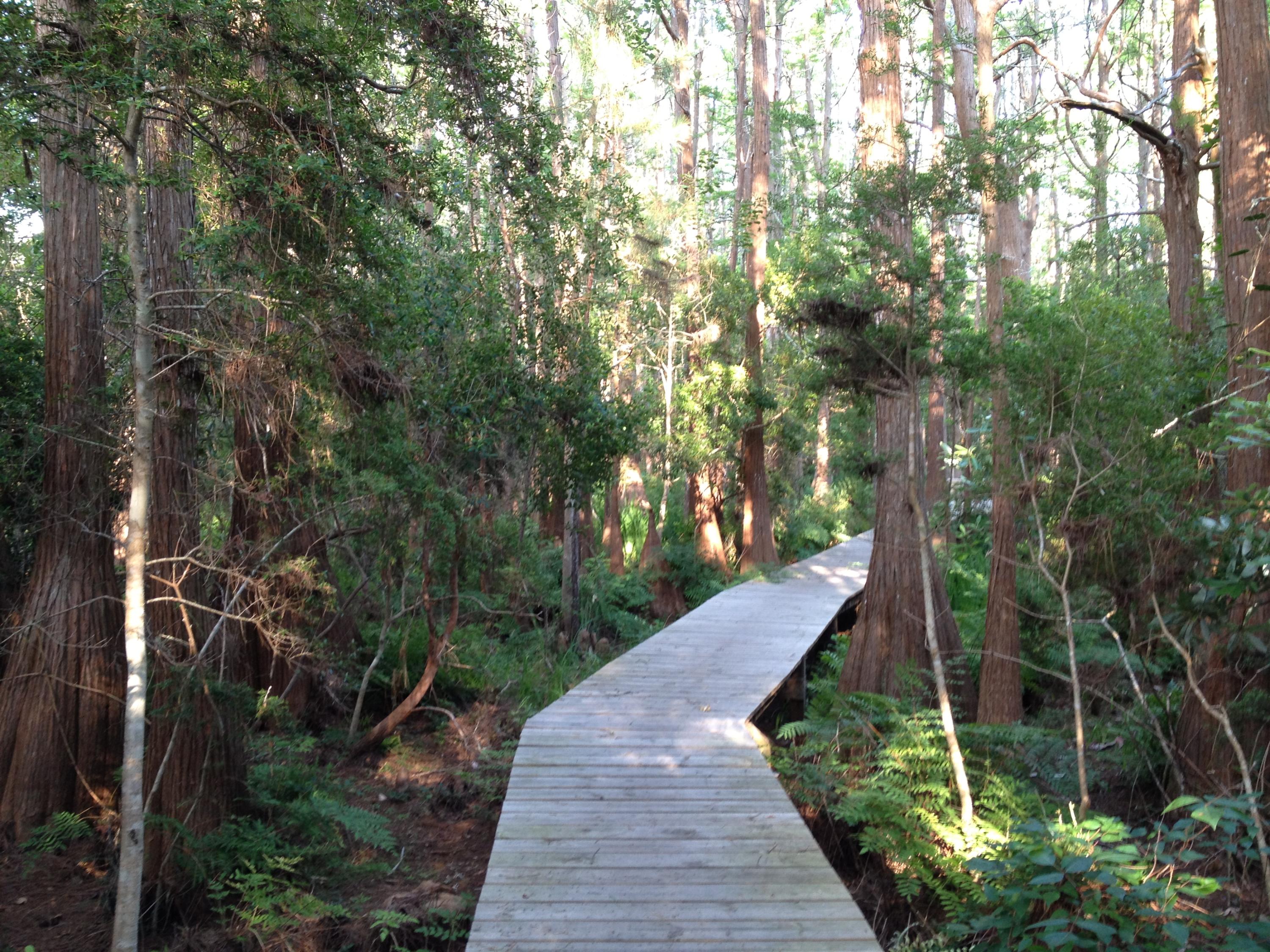 CASSINE VILLAGE - Residential