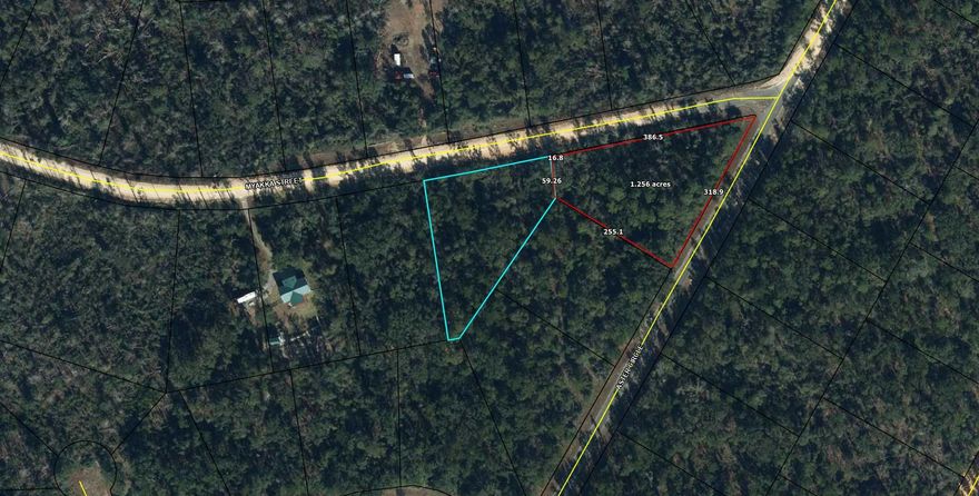 Large 1.074 acre lot in Compass Lake in the Hills. There is a voluntary HOA of $135 a year, but what a great price for all the amenities that are included such as: access to 2 lakes for fishing, tennis, horse stables / riding, rental cabins, RV spots, boat rentals, clubhouse, and a golf range. Being an all-sports lake, enjoy water skiing, tubing, jet skiing, boating, sailing, kayaking & swimming. No need to worry about lunch while out on the water when you have a boat accessible shoreline restaurant. This location is great for someone who enjoys nature and a short drive to the beach since it is located half way between Panama City And Dothan. The area is rich in historical significance, with many restored antebellum plantation homes open for tours or as bed-and-breakfast