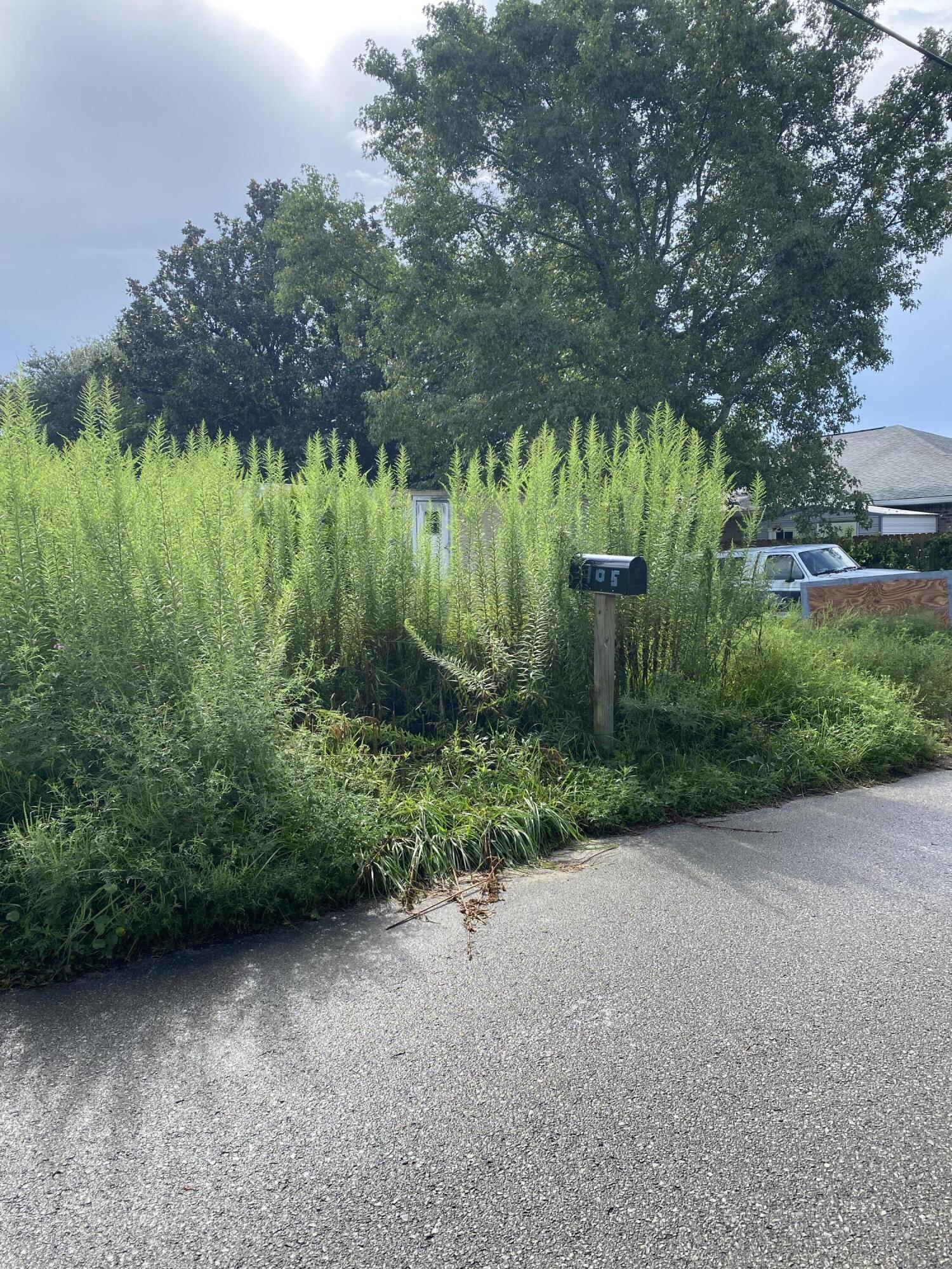 METES & BOUNDS - Land