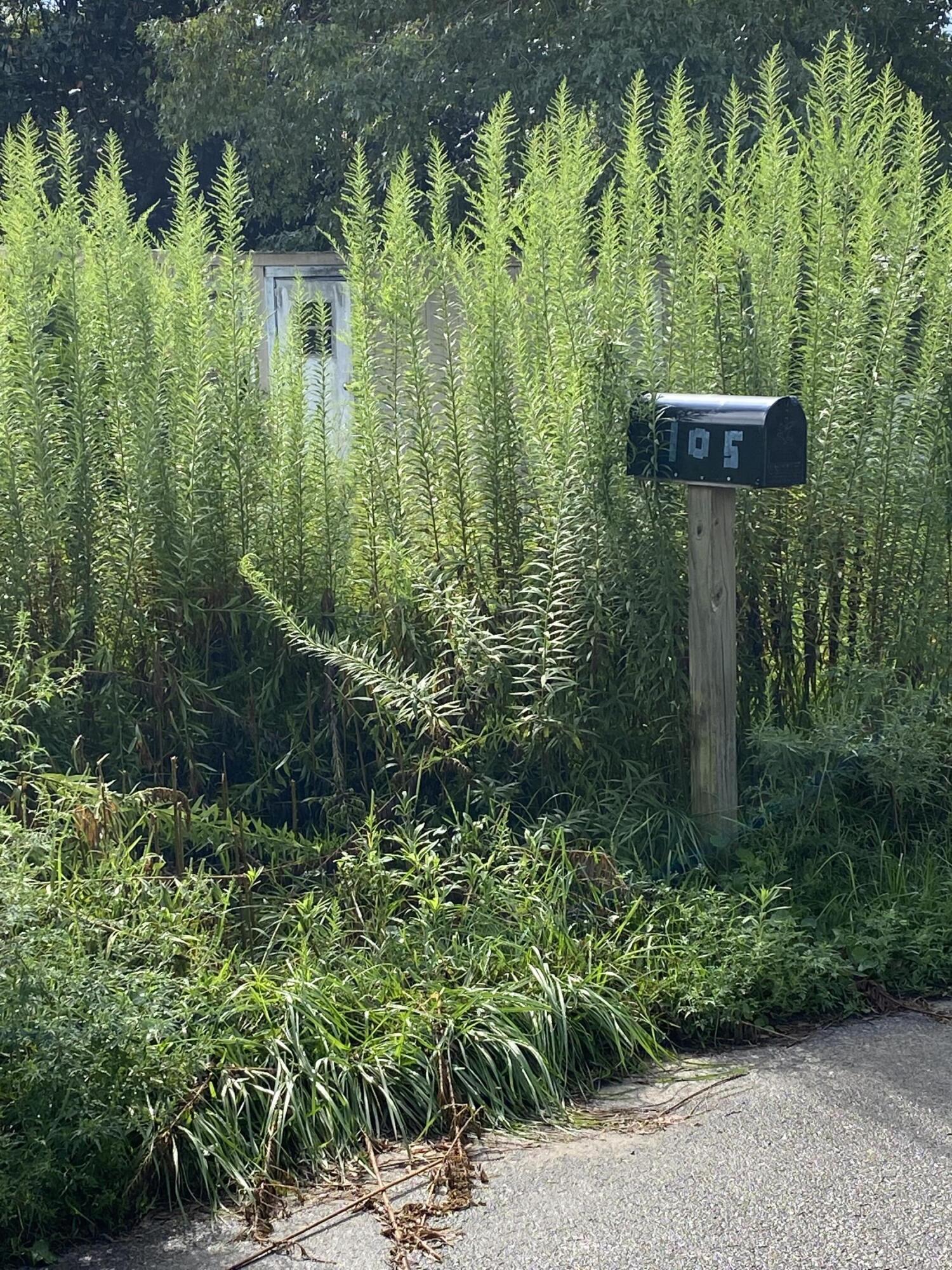 METES & BOUNDS - Land